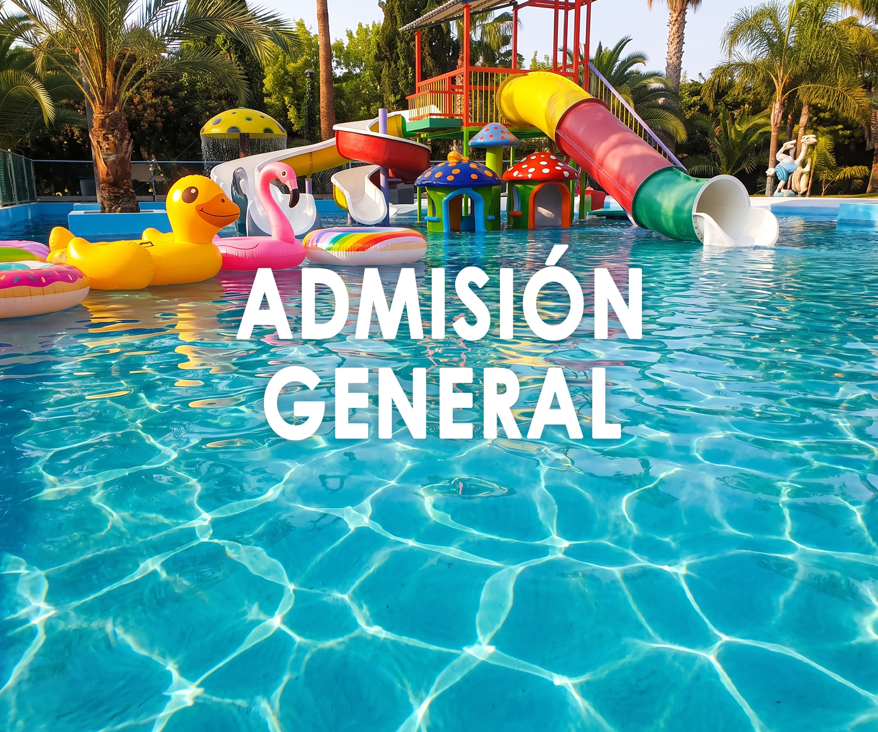 admision general 2